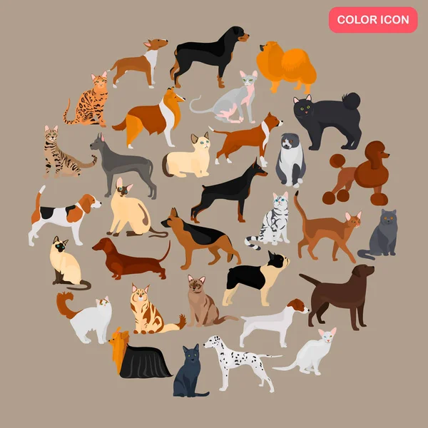 Conjunto de diferentes gatos y perros razas de color iconos planos — Vector de stock