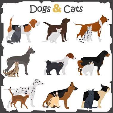 Köpeklerin ayarla ve kediler farklı doğurmak düz Icons set renk