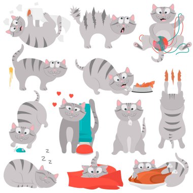Mutlu bir hayat bir kedi renk düz şekil ayarla