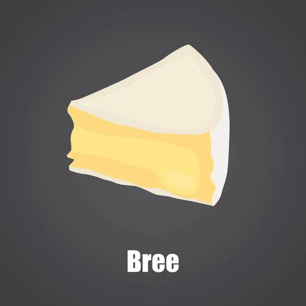 Bree sýr plátek barevná plochá ikona — Stockový vektor