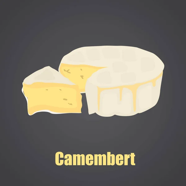 Camembert sýr slise a hlavou barevný plochý ikona — Stockový vektor