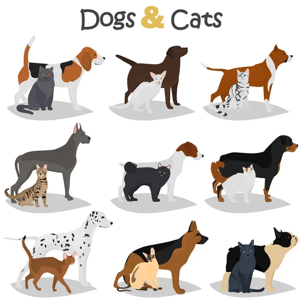 Set di cani e gatti di razze diverse colore piatto icone set — Vettoriale Stock