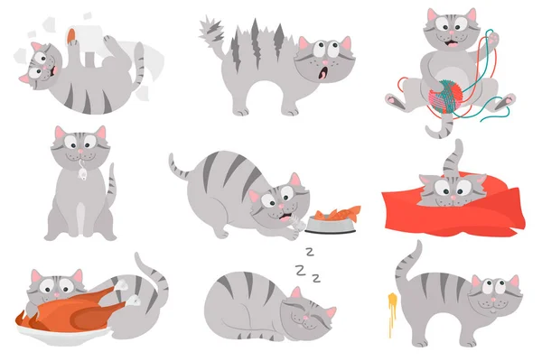Щасливе життя кота кольору плоский набір ілюстрацій — стоковий вектор
