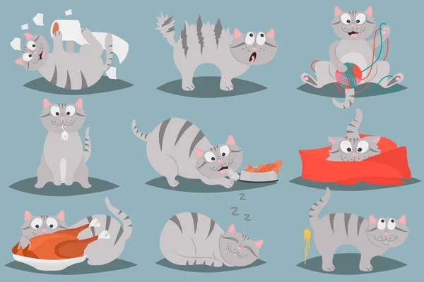 Vida feliz de um conjunto de ilustração plana de cor de gato — Vetor de Stock