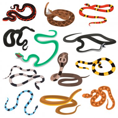Different poison snakes color flat icons set clipart