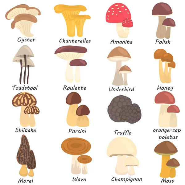 Conjunto de cogumelos comestíveis e venenosos cor ícones planos —  Vetores de Stock