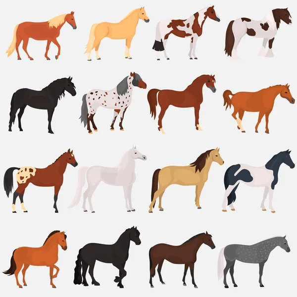 Horse breeds color flat icons set — Stock Vector