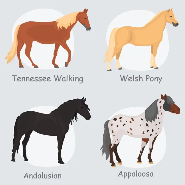 Horse breeds color flat icons set — Stock Vector