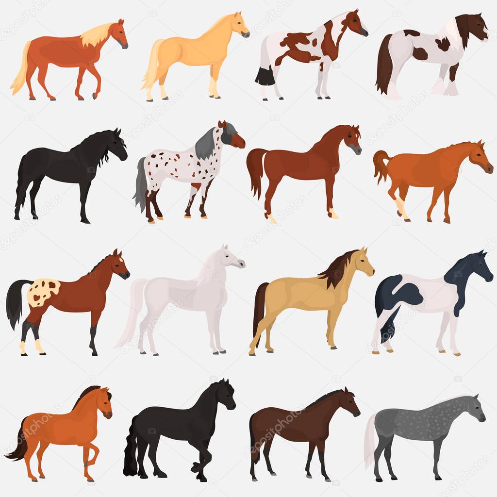 Horse breeds color flat icons set