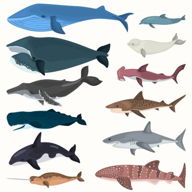 Renk dev sakinleri deniz derinlikleri simgeler kümesi