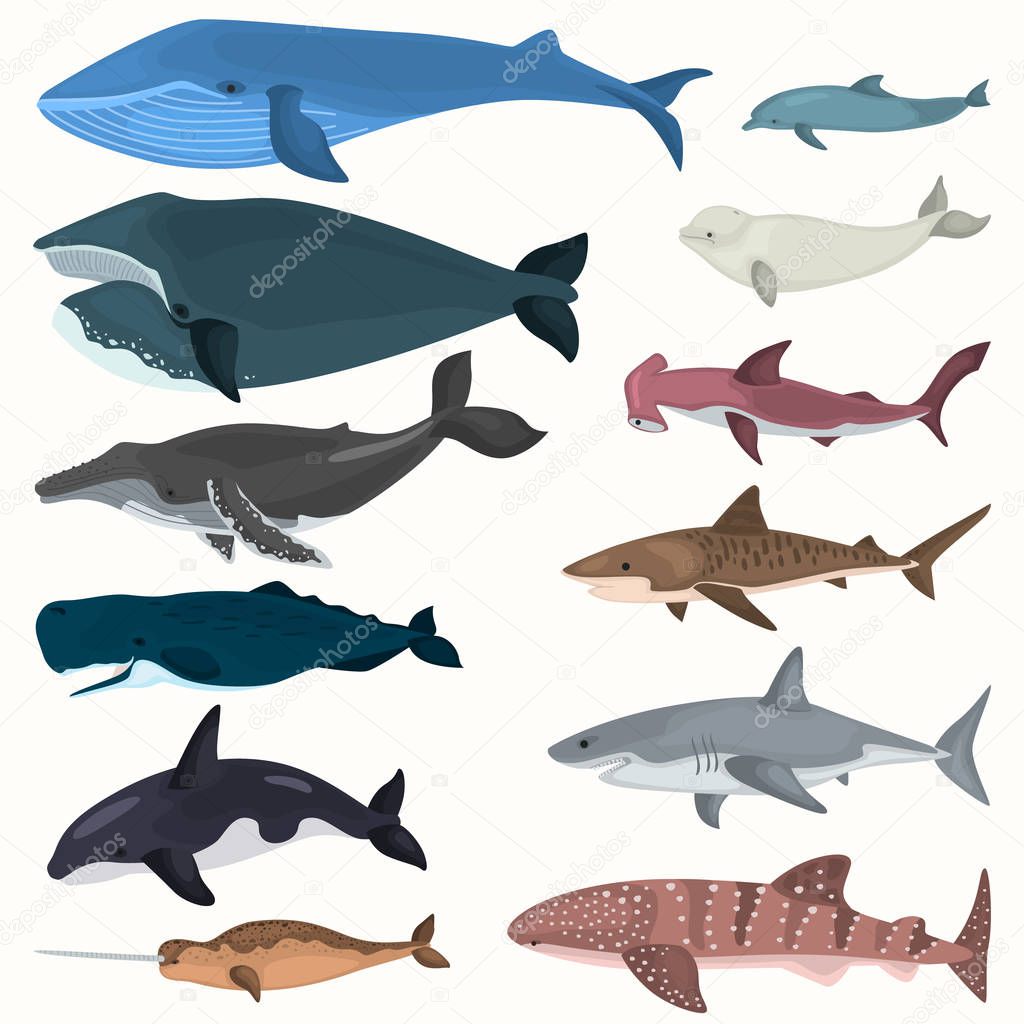 Set of color giant inhabitants of the sea depths icons