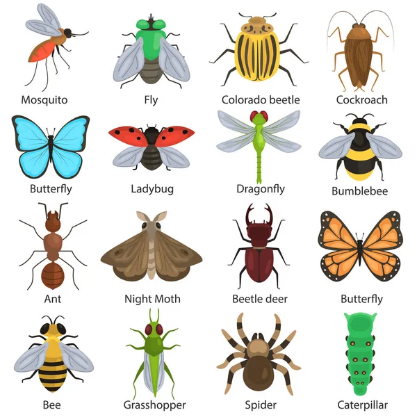 Conjunto de diferentes insectos de color iconos planos — Archivo Imágenes Vectoriales