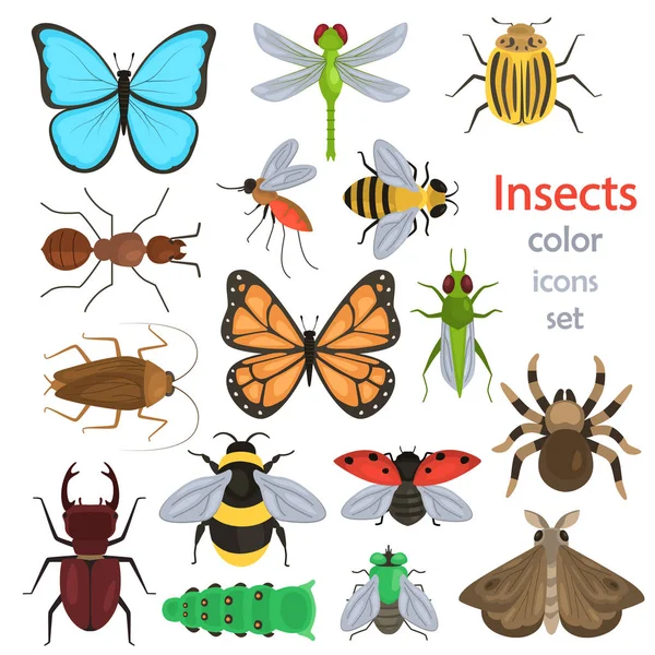 Conjunto de diferentes ícones planos de cor de insetos — Vetor de Stock