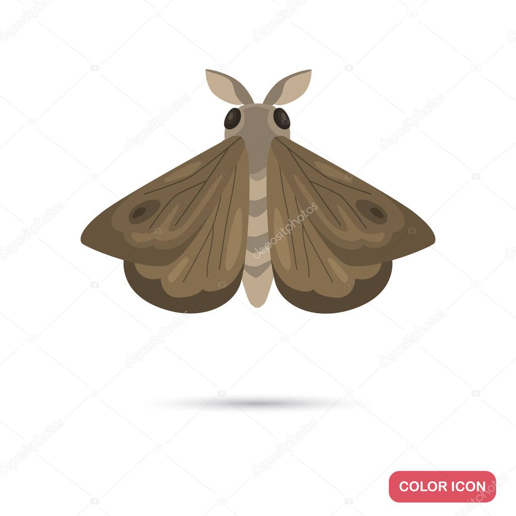 Night moth color flat icon