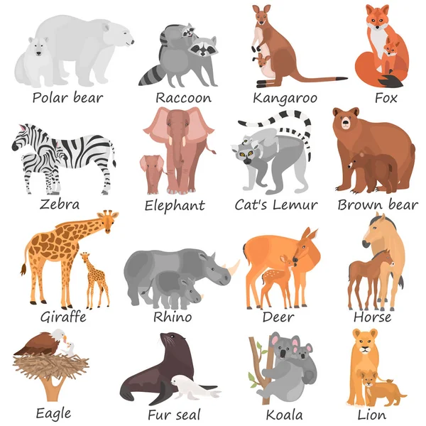 Σύνολο διαφορετικά ενήλικα ζώα και επίπεδη εικόνες τους cubs χρώμα — Διανυσματικό Αρχείο