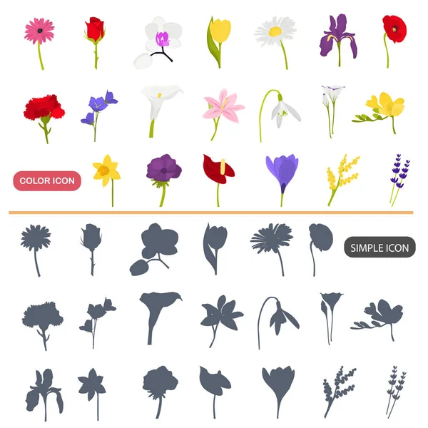 Sada barev ikon plochý a jednoduchý zahradní květiny — Stockový vektor