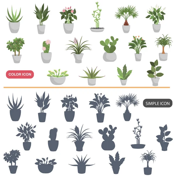 Χρώμα επίπεδη και απλή εγχώρια φυτά εικόνες set — Διανυσματικό Αρχείο