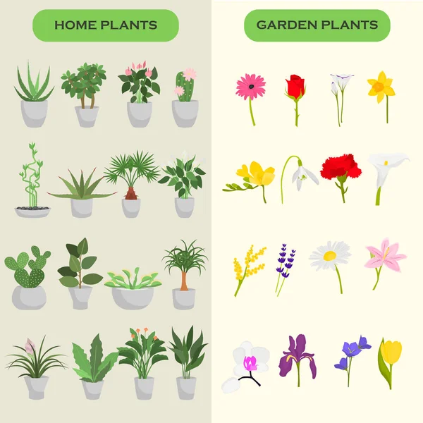 Σπίτι και κήπος λουλούδια χρώμα επίπεδες εικόνες set — Διανυσματικό Αρχείο