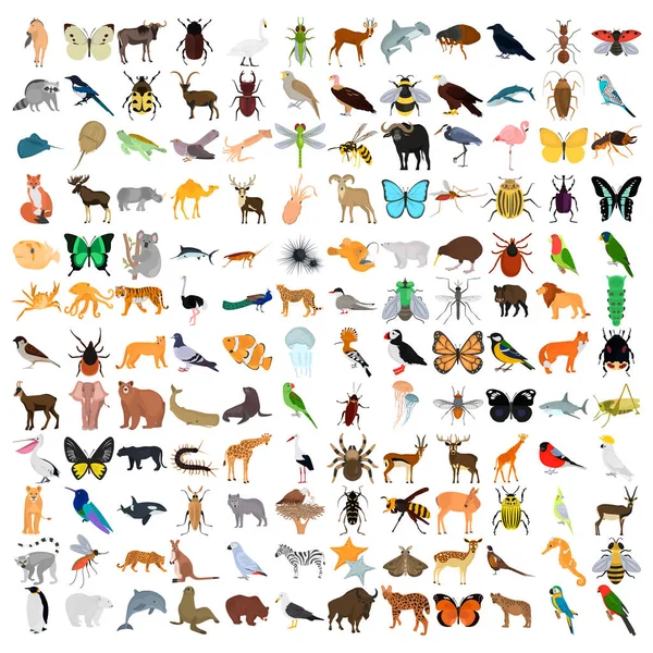 Enorme dieren kleur platte icons set — Stockvector