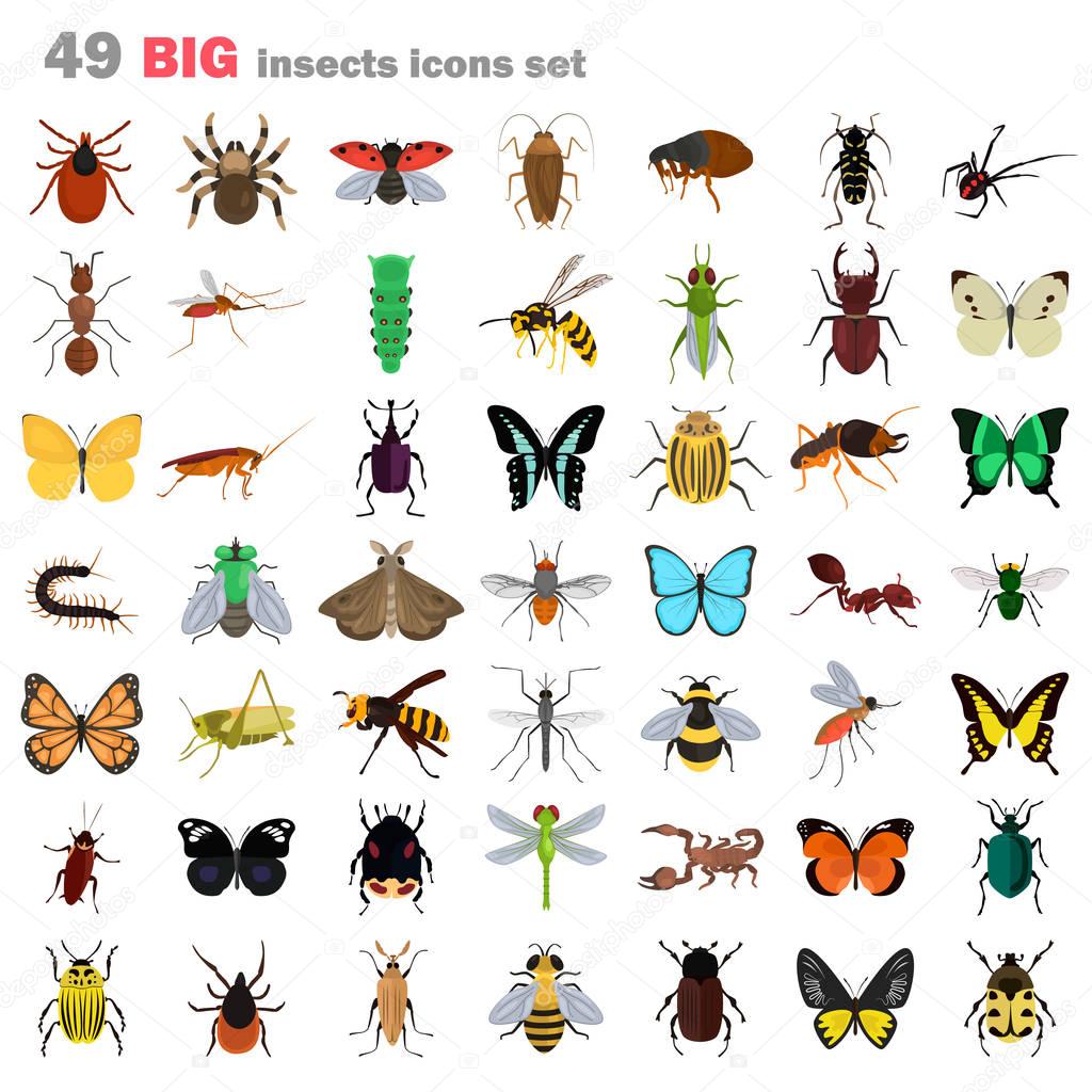 Big insects color flat icons set