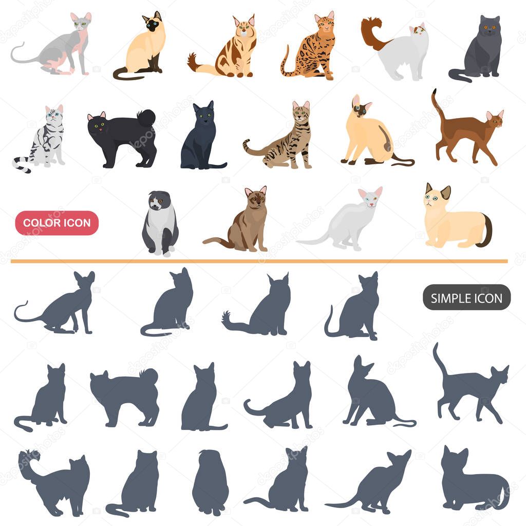 Color flat and simple cats breeds icons set