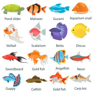 Akvaryum balık düz Icons set renk