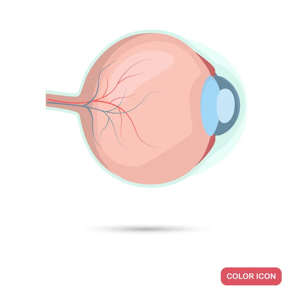 Icono plano de color de ojos humano — Archivo Imágenes Vectoriales