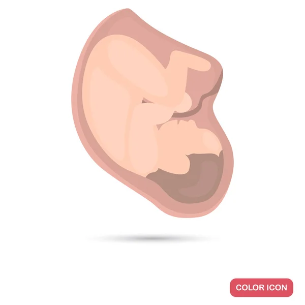 Baby in de baarmoeder van een vrouw kleur platte pictogram — Stockvector