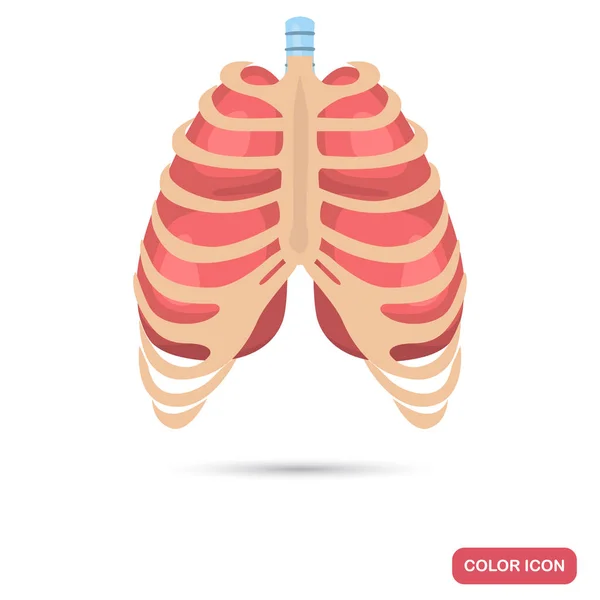 Poumons humains derrière la couleur du thorax icône plate — Image vectorielle