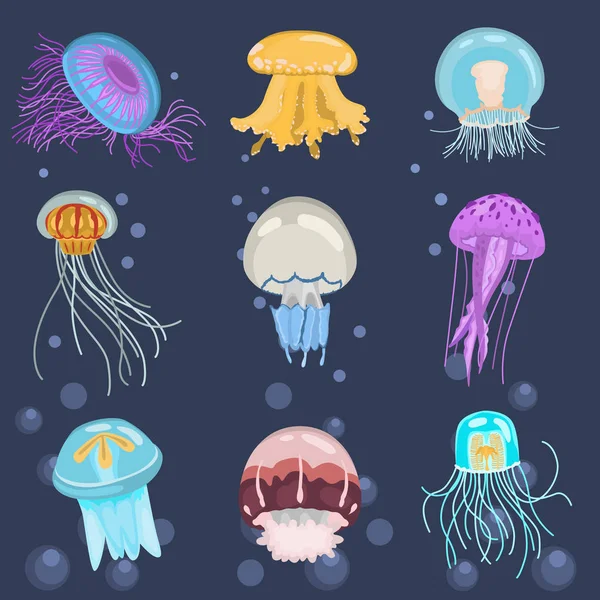 Set of different color flat jellyfish icons — Stock Vector