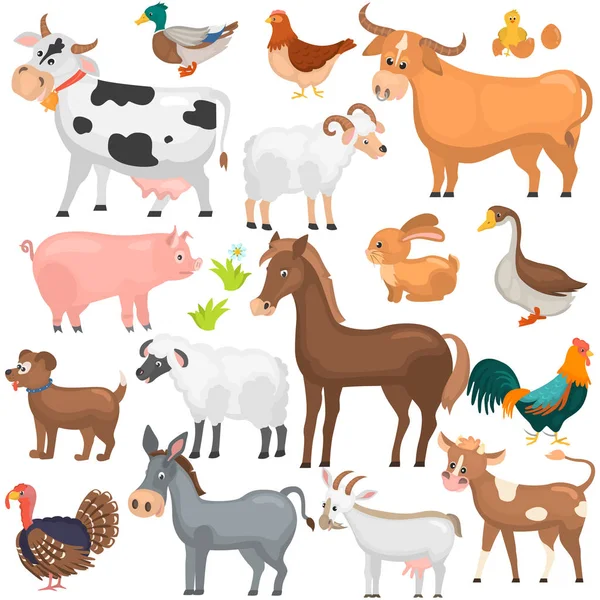 Agricultute állatok színes lapos ikonok beállítása — Stock Vector