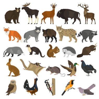 Orman hayvanları düz Icons set renk