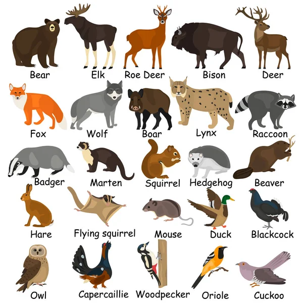 Floresta animais cor plana ícones conjunto — Vetor de Stock