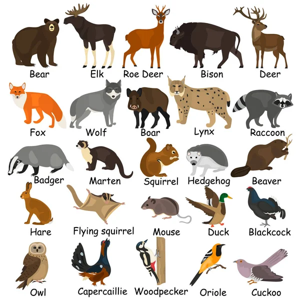 Animaux de la forêt couleur des icônes plates ensemble — Image vectorielle