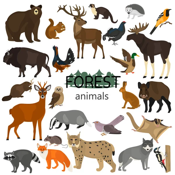 Bosque animales color iconos planos conjunto — Vector de stock