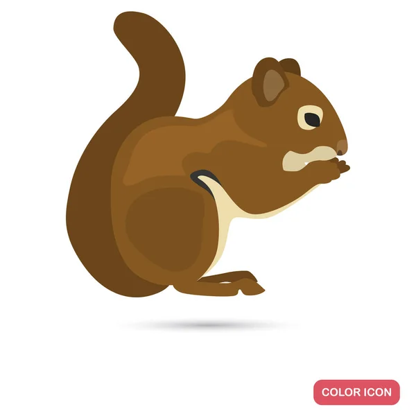 다람쥐 웹 및 모바일 디자인을 위한 색상 플랫 아이콘 — 스톡 벡터