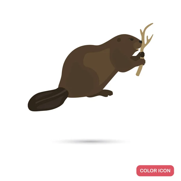 Beaver color flat icon for web and mobile design — Stock Vector