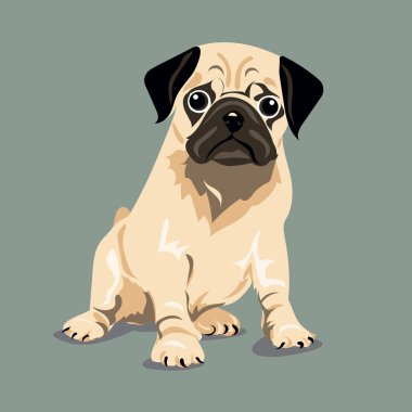 Pug köpek bir renk arka plan
