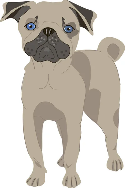 Perro pug en un fondo de color — Vector de stock