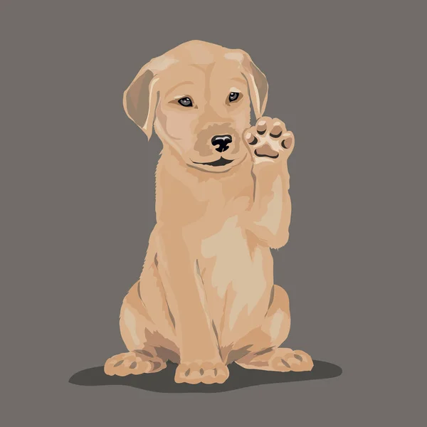 Perro labrador en un fondo de color — Vector de stock