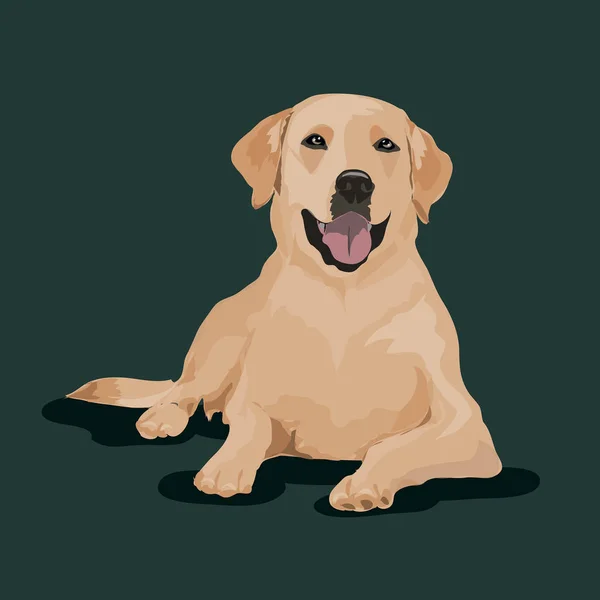 Perro labrador en un fondo de color — Vector de stock