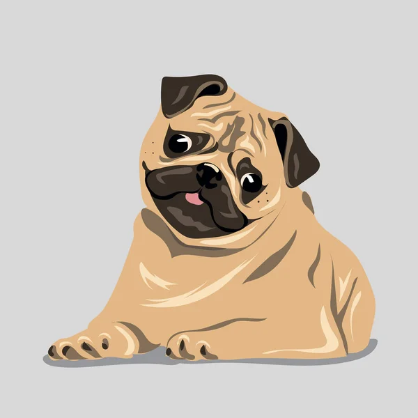 Pug dog at one color background — Stock Vector