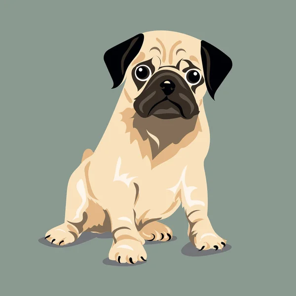 Mops pes na jedné barvy pozadí — Stockový vektor