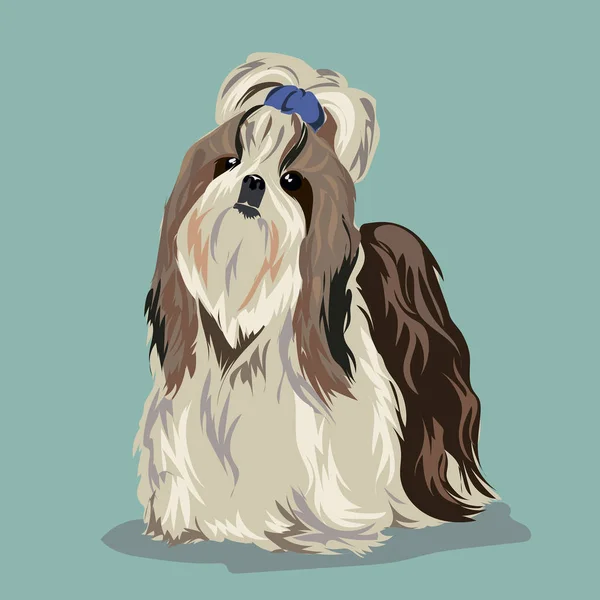 Shih Tzu cane — Vettoriale Stock