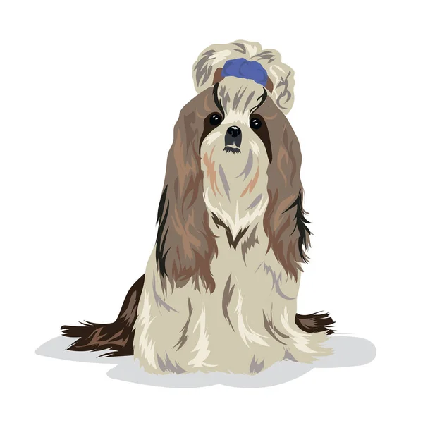 Shih Tzu perro — Vector de stock