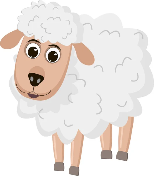 Lamb at white background — Stock Vector