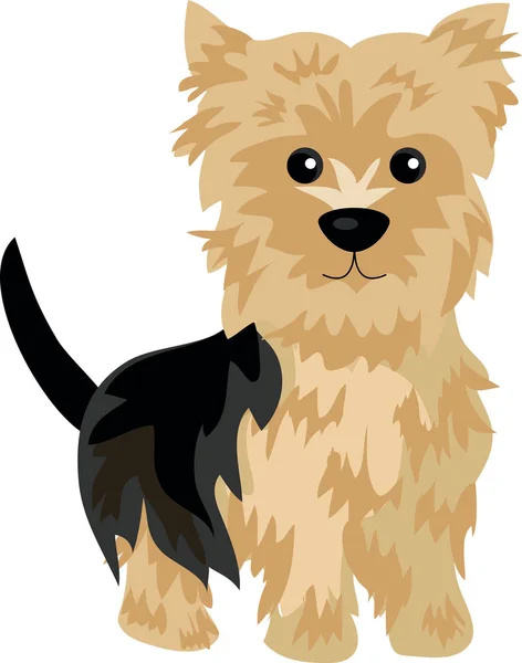 Yorkshire terrier perro en un fondo de color — Vector de stock