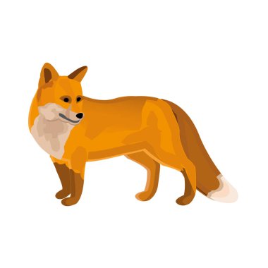 Kırmızı bebek tilki standı