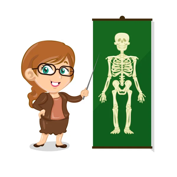 Anatomia nauczyciel z kijem i szkielet — Wektor stockowy