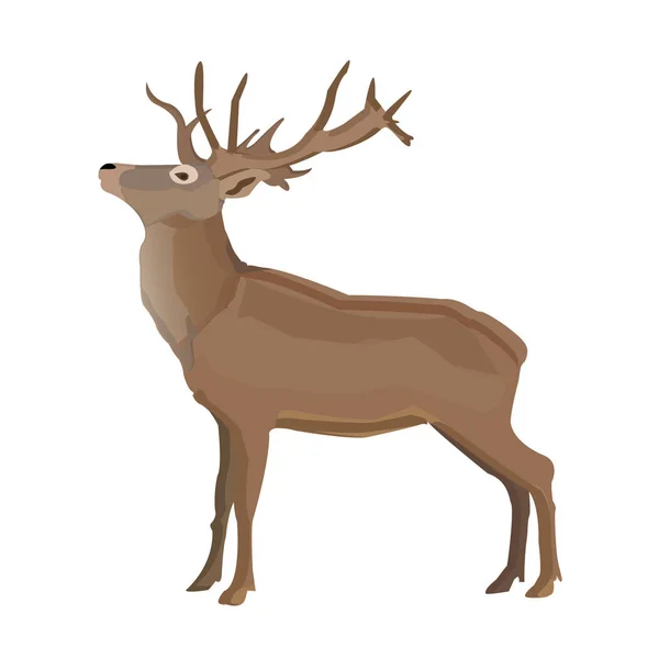 Большой олень с рогами — стоковый вектор